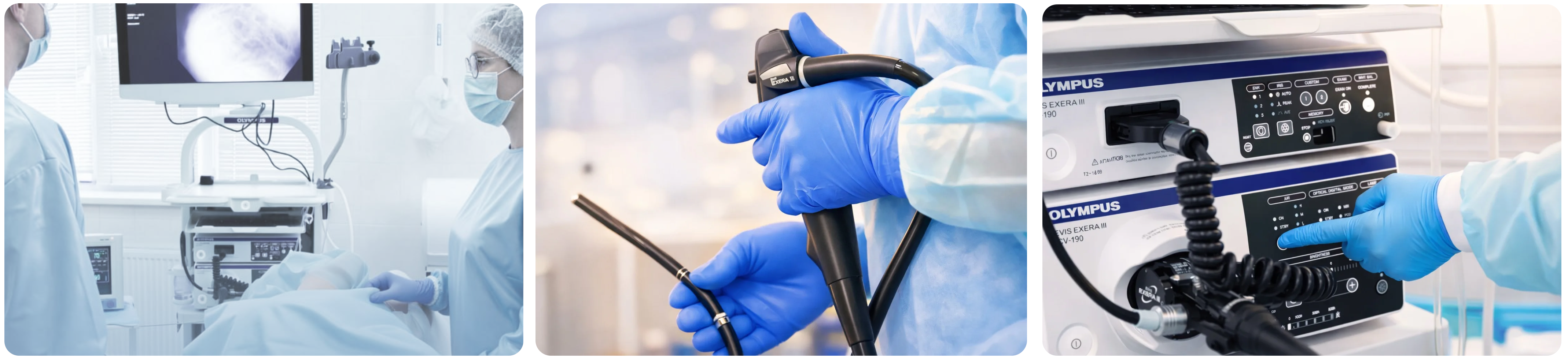 Эндоскопия (ФГС, колоноскопия, бронхоскопия)
